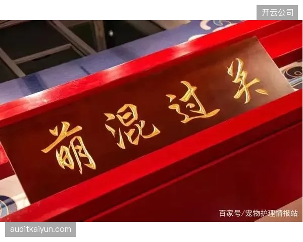 九百家连锁门店完全抛弃前台接待岗位